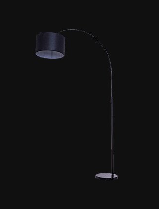 Dark Study Lamp